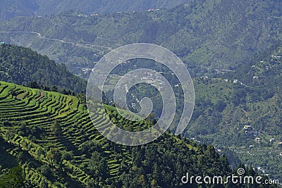 Himalayan Terrace Farming Stock Photo