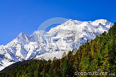 Himalayas mountain peak view of Annapurna II with trees in foreground Stock Photo