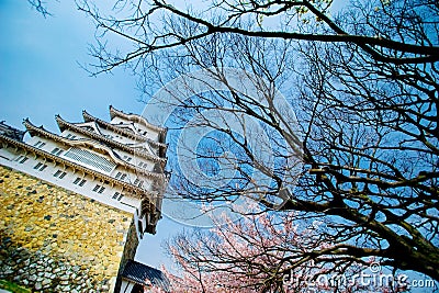 Himeji Castle Stock Photo