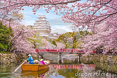 Himeji Castle with beautiful cherry blossom in spring Editorial Stock Photo