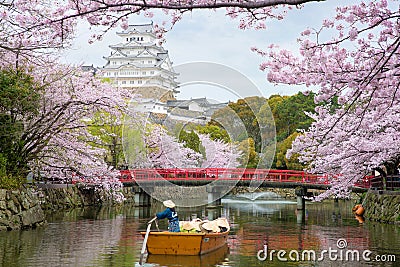 Himeji Castle with beautiful cherry blossom in spring season at Hyogo near Osaka, Japan. Himeji Castle is famous cherry blossom Stock Photo