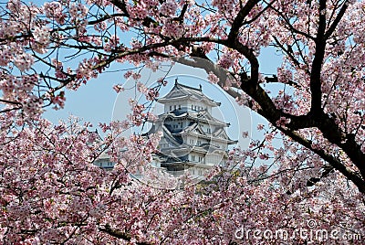 Himeji Castle during cherry blossom Stock Photo