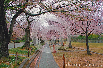 HIMEJI CASTLE Stock Photo