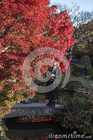 Koko-en Garden in autumn at Himeji, Hyogo Prefecture Editorial Stock Photo