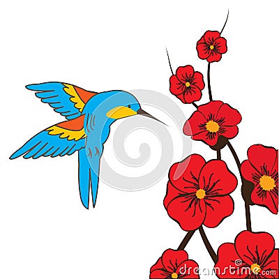 Himmingbird Vector Illustration