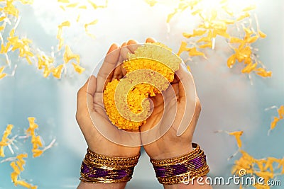 Hindu Ceremonies, Rituals, Spirituality, Religion and Hope Concept. Woman Holdings Marigold Flowers in Water , Respect and Stock Photo
