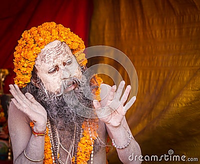 A Hindu priest preaching at the Kumbha Mela in India. Editorial Stock Photo