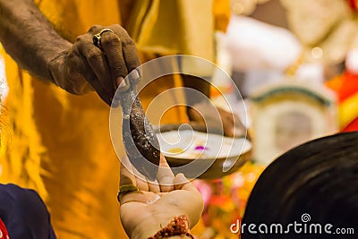 Hindu puja ritual of pushpanjali, where the priest is giving charanamrita or sacred food made of milk on hands of devotees.this Stock Photo