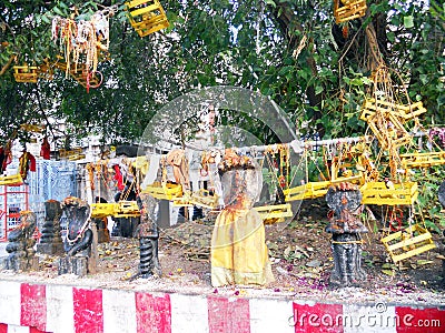 Hindus tree Stock Photo
