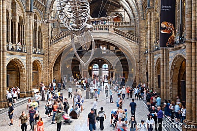 The Hintze Hall at the Natural History Museum in London Editorial Stock Photo
