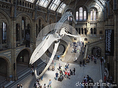 Hintze Hall at the Natural History Museum in London Editorial Stock Photo
