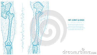 Hip joint and knee front and side view polygonal vector illustration. Leg and pelvis anatomy concept. Medical abstract low poly Vector Illustration