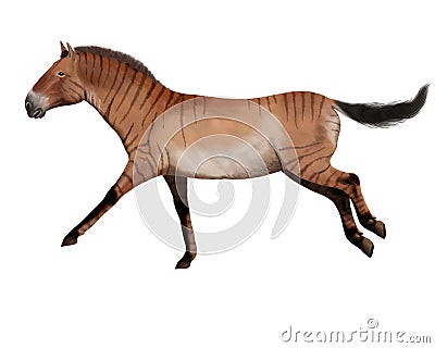 Hipparion, ancient horse Cartoon Illustration