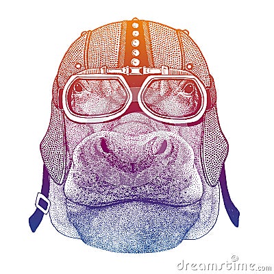 Hippo, Hippopotamus, river-horse. Animal wearing biker, motorcycle helmet. Wild rider, racer. Motorcycle club. Fashion Vector Illustration