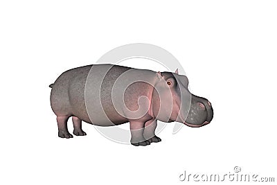 Hippo One Stock Photo