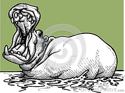 Hippo with the open mouth Vector Illustration