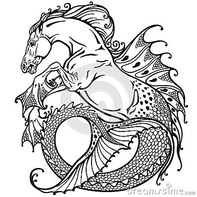 Hippocampus black and white Vector Illustration