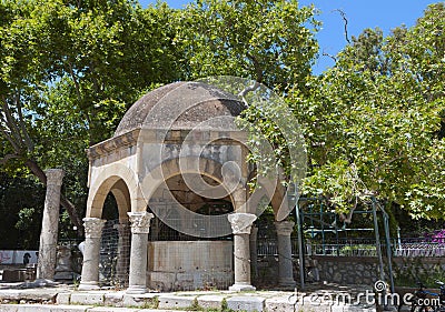 Hippocrates tree at Kos island in Greece Stock Photo