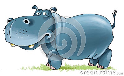 Hippopotamus africa nostrils cloven-hoofed mammal Stock Photo