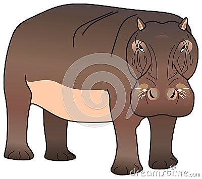 Hippopotamus amphibious vector drawing isolated white background Vector Illustration