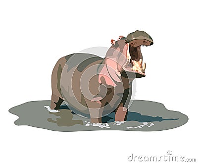 Hippopotamus Vector Illustration