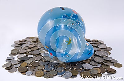 Hippopotamus bank Stock Photo