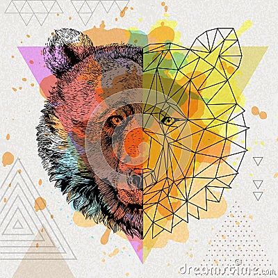 Hipster animal realistic and polygonal bear on artistic watercolor background Vector Illustration