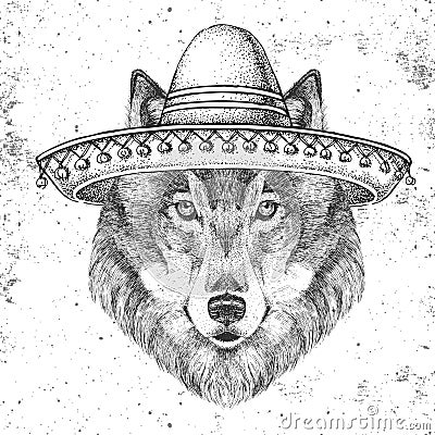 Hipster animal wolf wearing a sombrero hat. Hand drawing Muzzle of wolf Vector Illustration