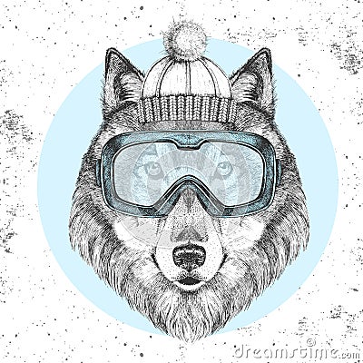 Hipster animal wolf in winter hat and snowboard goggles. Hand drawing Muzzle of wolf Vector Illustration