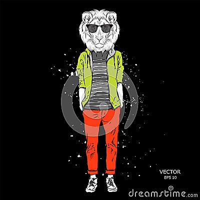 Hipster dressed lion in jacket, pants and sweater. Vector illustration Vector Illustration