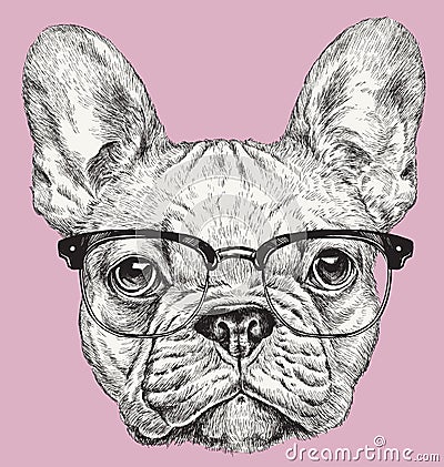 Hipster Geek French Bulldog vector illustration Vector Illustration