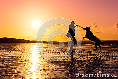 Hipster girl playing with dog at a beach during sunset, silhouettes Stock Photo