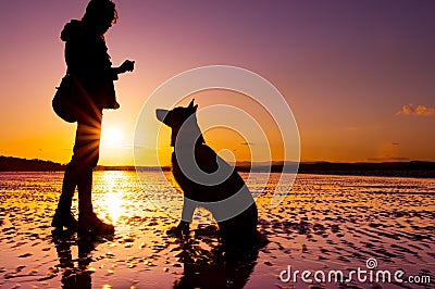 Hipster girl playing with dog at a beach during sunset, silhouettes Stock Photo