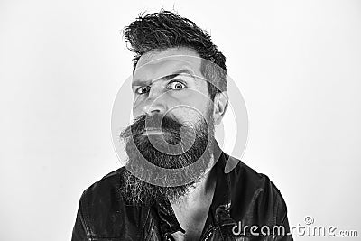 Hipster looks surprised and suspicious while raising his eyebrow. Masculinity concept. Man with beard and mustache on Stock Photo