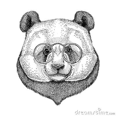 Hipster Panda Cute bamboo bear Image for tattoo, logo, emblem, badge design Stock Photo