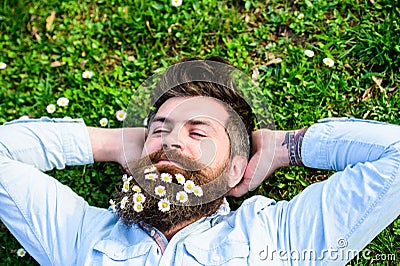 Hipster on peaceful face lays on grass, top view. Guy looks nicely with daisy or chamomile flowers in beard. Man with Stock Photo