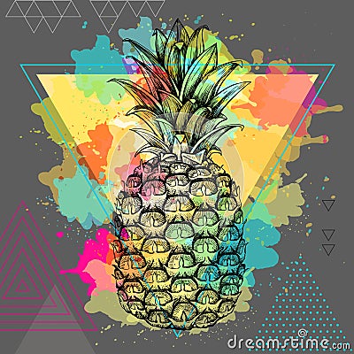 Hipster realistic tropic fruit pineapple on triangle watercolor background Vector Illustration