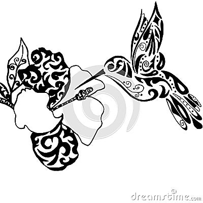 Hiqh qualiti hummingbird and orchid for coloring Vector Illustration