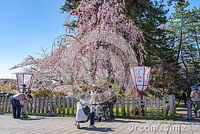 Hirosaki city street view. Cherry blossom in spring season sunny day and clear blue sky Editorial Stock Photo