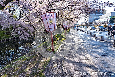 Hirosaki city street view. Cherry blossom in spring season sunny day and clear blue sky Editorial Stock Photo