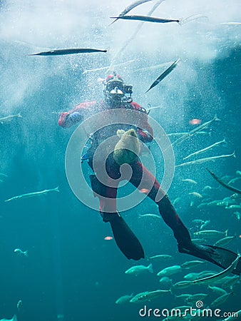 Hirtshals Aquarium Diver Editorial Stock Photo