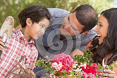 Hispanic Family Working In Garden Tidying Pots Stock Photo