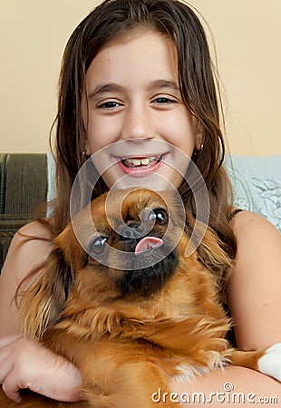 Hispanic girl carrying her small pekingese dog Stock Photo