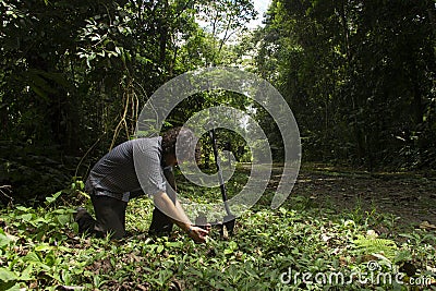 Hispanic man on his knees planting a small plant with a black shovel in a green field surrounded by trees Stock Photo