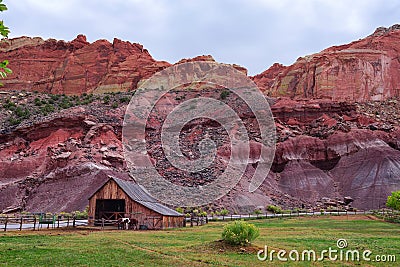 Historic barn with horses in the Capitol Reef National Park, Utah Stock Photo