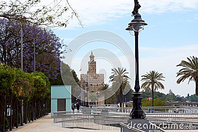 Historic buildings and monuments of Seville, Spain. Architectural details, stone facade Editorial Stock Photo