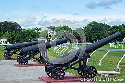 Historic Canon at the Garrison Savannah in Barbados Stock Photo