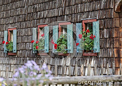 Historic farmhouse window with red geraniums. Stock Photo