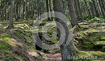 Historic mining tunnel in a forest Stock Photo