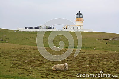 Historic lighthouse in sheep field Stock Photo